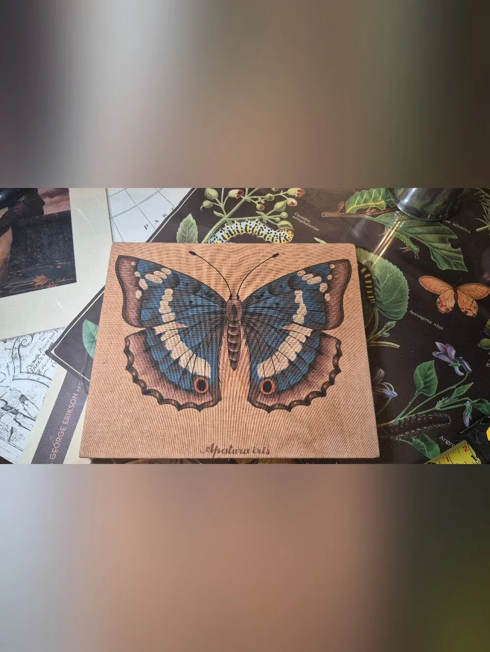 Butterfly Wall Art Canvas in Blue and Brown VINTAGE